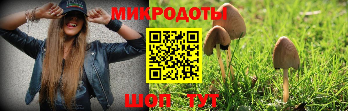 Галлюциногенные грибы ЛСД Калуга