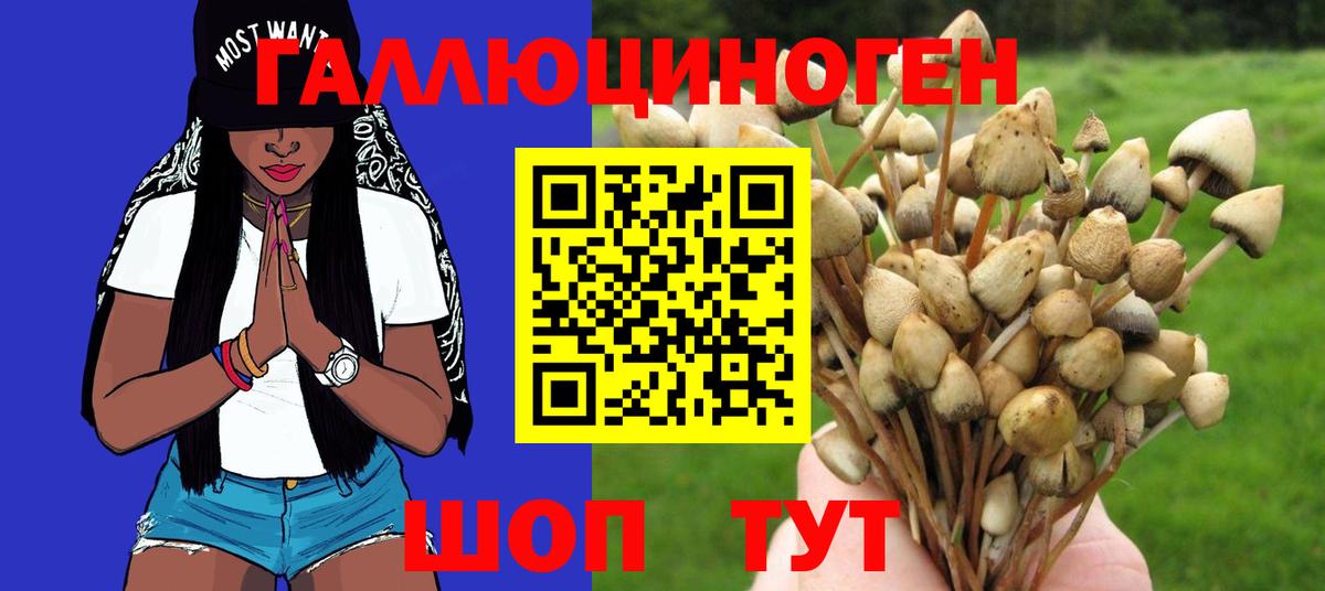 Псилоцибиновые грибы мицелий  Вход с VPN  Галлюциногенные грибы MAGIC MUSHROOMS  Калуга 